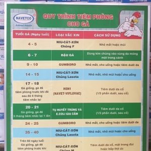 Alternative view of Vaccine Navetco - Newcastle LA (Chủng Lasota)