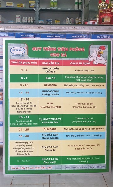 Vaccine Navetco - Newcatsle M (Tiêm) - Ảnh 2