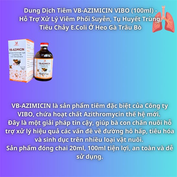 VB AZIMICIN - Đặc Trị Viêm Phổi Dính Sườn,APP, Suyễn, Tụ Huyết Trùng - Ảnh 2