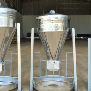 Máng ăn tự động cho heo