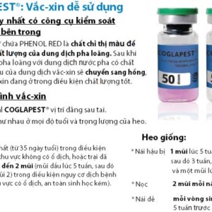 Alternative view of Vaccine Tân Tiến- COGLAPEST @ 50 liều
