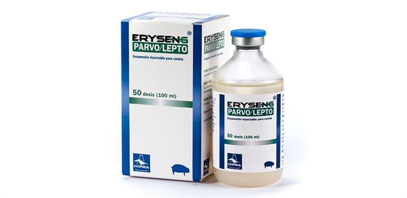 Vaccine Hipra Parvo Lepto 10 liều - Ảnh 2