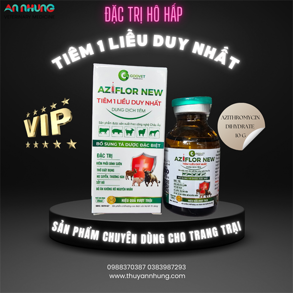 (CH 56) GOOVET AZIFLOR NEW - Đặc trị hô hấp 1 liều duy nhất - Ảnh 2