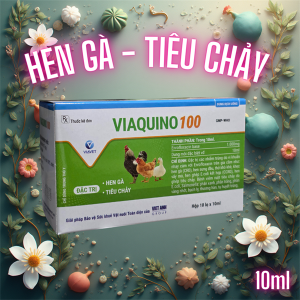 VIAVET Quino 100 (Hen Gà, Tiêu chảy) Oral 10ml