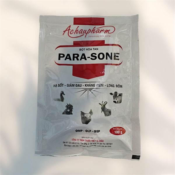 Á Châu Para Sone - Ảnh 3