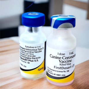 Alternative view of VACCINE ZOETIS VANGUARD PLUS 5 CVL- 7 bệnh chó