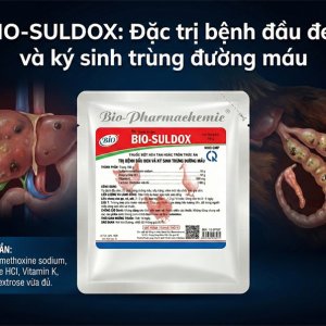 Bio Suldox 100g đặc trị Đầu Đen và Ký sinh trùng đường máu