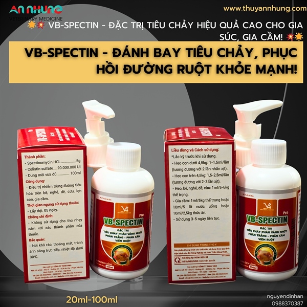 VB SPECTIN PRO 100ml - Oral - Tiêu chảy, phân vàng nhớt, phân trắng, phân xám - Ảnh 2
