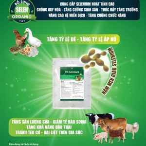 Alternative view of VB SELEN E