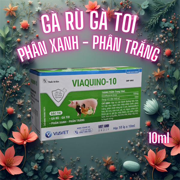 VIAVET Quino 10 (Gà rù, gà toi) Oral 10ml