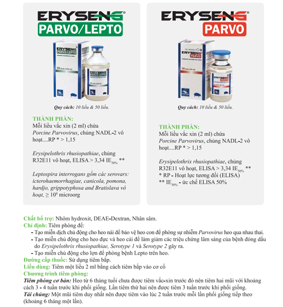 Vaccine Hipra Parvo Lepto 10 liều - Ảnh 3