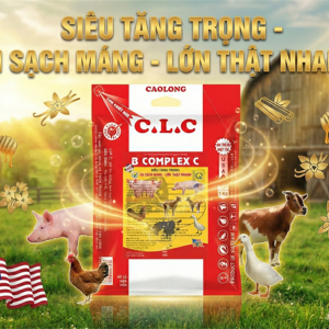 CAO LONG BCOMPLEX C