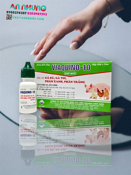 VIAVET Quino 10 (Gà rù, gà toi) Oral 10ml - Ảnh 5