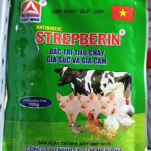 Alternative view of Mebipha Strep Berin