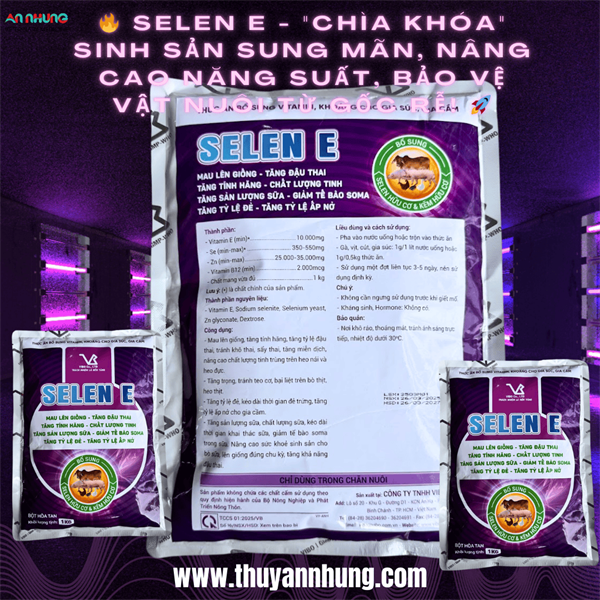 VB SELEN E - Ảnh 3