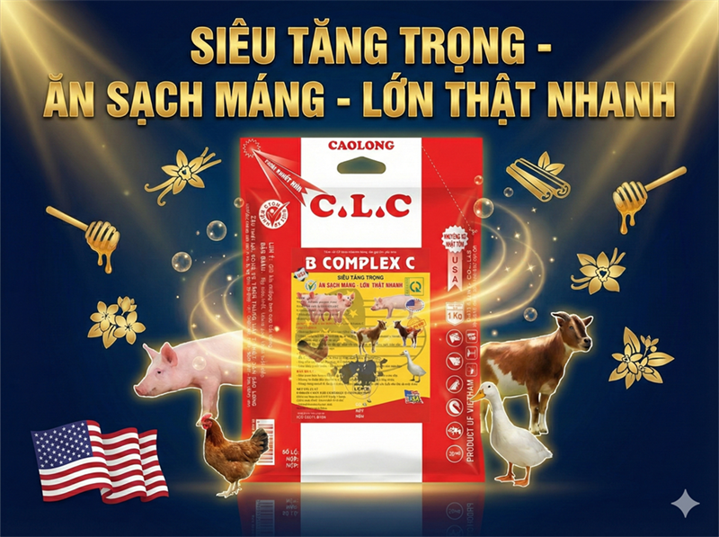 CAO LONG BCOMPLEX C - Ảnh 4
