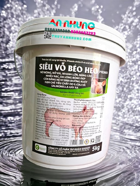 GOOVET SIÊU VỖ BÉO HEO (SIÊU TAN) 5kg/xô - Ảnh 4
