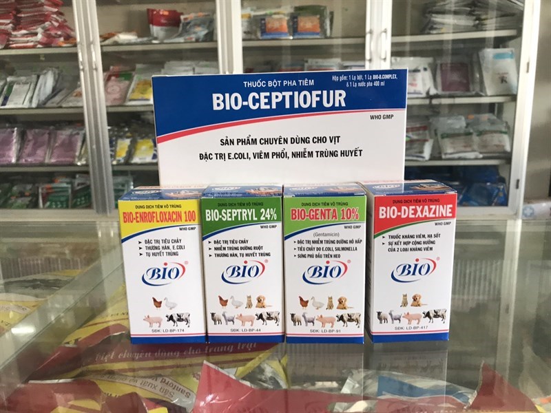 BIO CEPTIOFUR VỊT - Ảnh 3