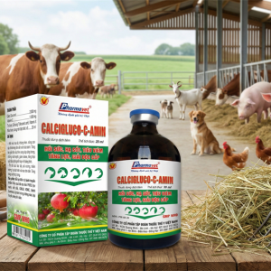 DRICH CALCI GLUCO C AMIN 100ml - Lọ