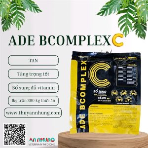 Alternative view of Á CHÂU ADE BCOMPLEX C (Black Yelow)