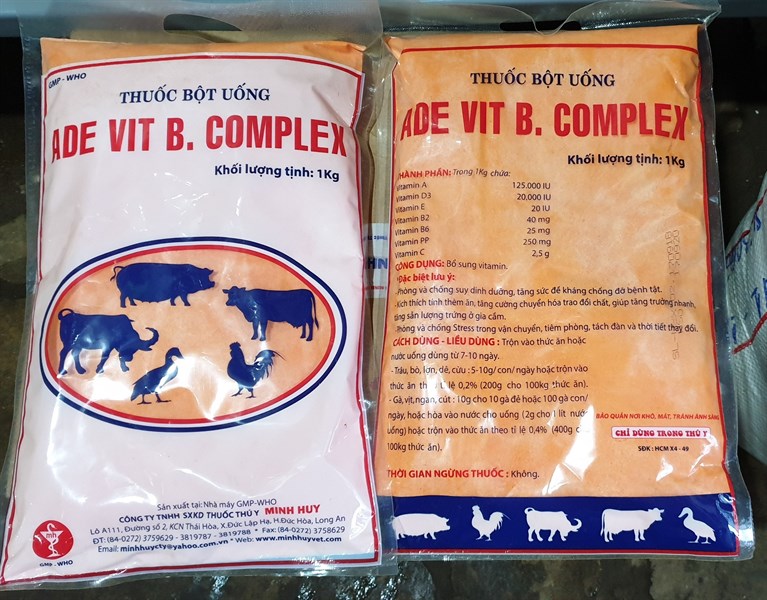 MINH HUY ADE VIT BCOMPLEX - Ảnh 4