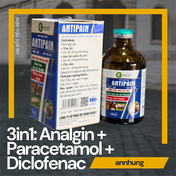 GOOVET ANTIPAIN 100ml - Hạ sốt, giảm đau, kháng viêm (3in1: Analgil, Paracetamol và Diclofenac) - Ảnh 4