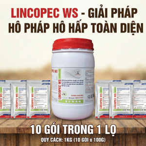 SAGOPHAR LINCOPEC WS - Hàm Lượng Cao 1kg - Lon 10in1