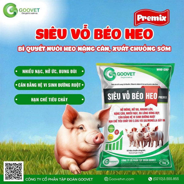 GOOVET SIÊU VỖ BÉO HEO (SIÊU TAN) 5kg/xô - Ảnh 5