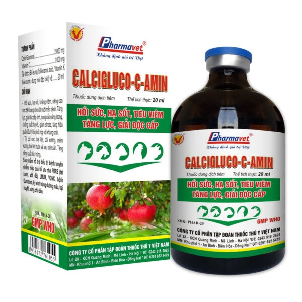 DRICH CALCI GLUCO C AMIN 100ml - Lọ - Ảnh 2