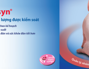 Alternative view of ALTRESYN 540ml - Lên giống đồng loạt