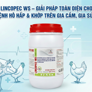 Alternative view of SAGOPHAR LINCOPEC WS - Hàm Lượng Cao 1kg - Lon 10in1