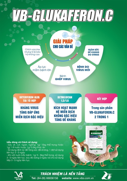 VB GLUKAFERON.C 1kg - kháng thể Virus Interferon >70% - Dành cho Gia Cầm - Ảnh 3