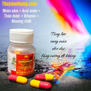 ND AMINOGINSEN - Nhân sâm bổ gà đá
