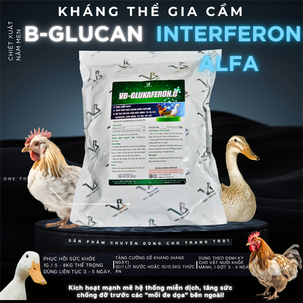 VB GLUKAFERON.C 1kg - kháng thể Virus Interferon >70% - Dành cho Gia Cầm - Ảnh 5
