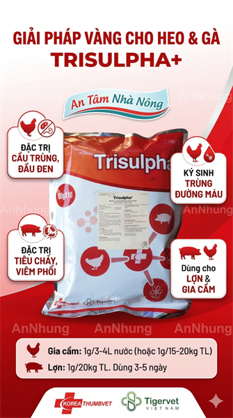 TIGERVET TRISULPHA+ 100gr - Ảnh 5