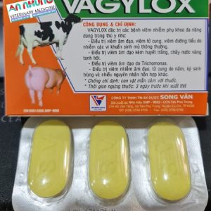 Alternative view of SV Vagylox