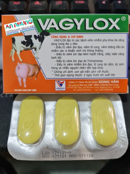 SV Vagylox - Ảnh 2