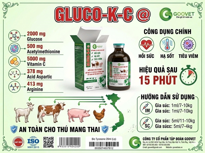 GOOVET GLUCO KC - Ảnh 4