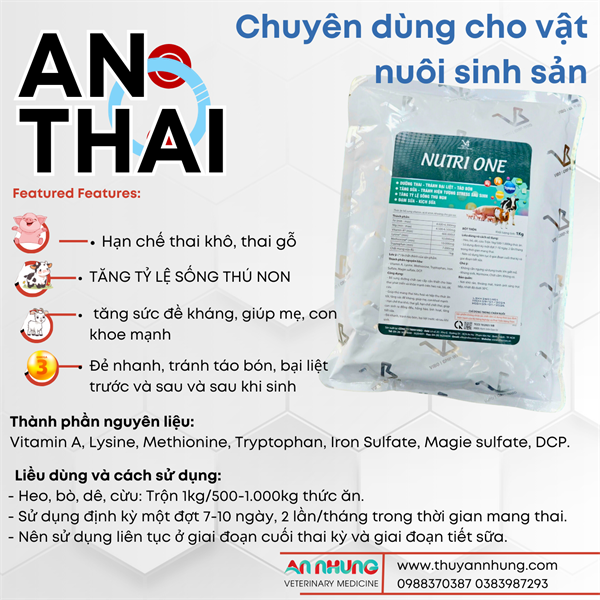 VB NUTRI ONE - An Thai - 1kg - Ảnh 3