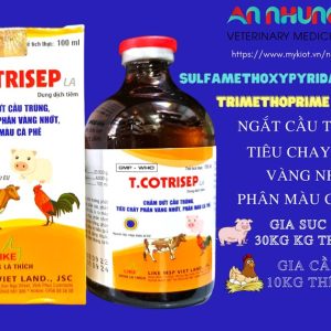 Alternative view of LIKE T. COTRISEP LA ( SulfaTrime)