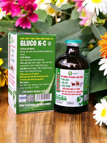 GOOVET GLUCO KC - Ảnh 2