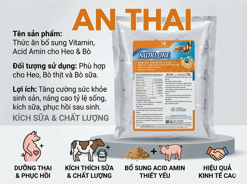 VB NUTRI ONE - An Thai - 1kg - Ảnh 5