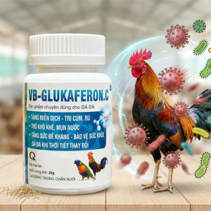 VB Glukaferon. C - kháng thể Virus Interferon >70% - Dành cho Gà đá