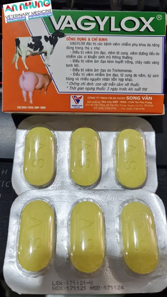 SV Vagylox - Ảnh 3