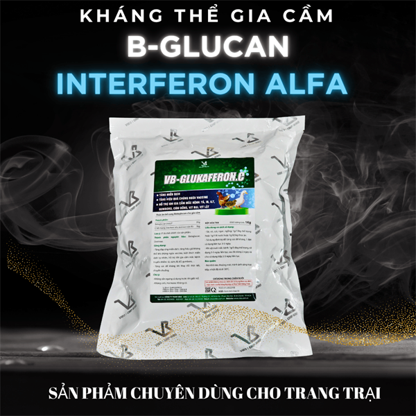 VB GLUKAFERON.C 1kg - kháng thể Virus Interferon >70% - Dành cho Gia Cầm