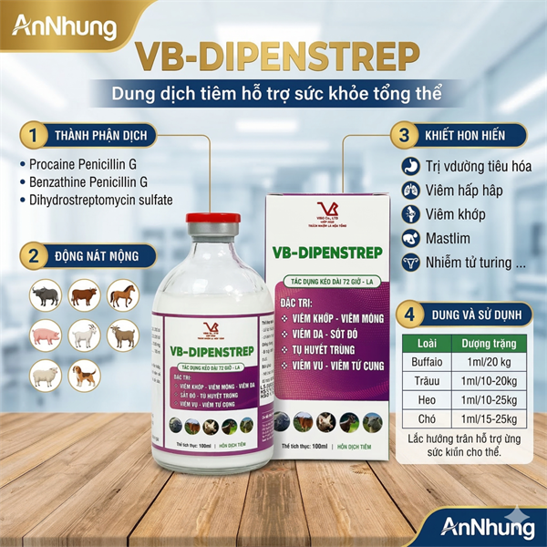 Vibo - Pen Strep (Di penstrep) Inj - TÍm - Ảnh 4
