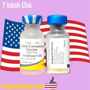 VACCINE ZOETIS VANGUARD PLUS 5 CVL- 7 bệnh chó