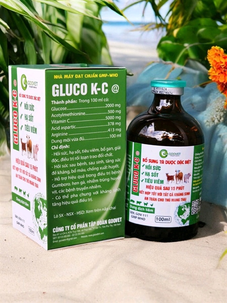 GOOVET GLUCO KC - Ảnh 3