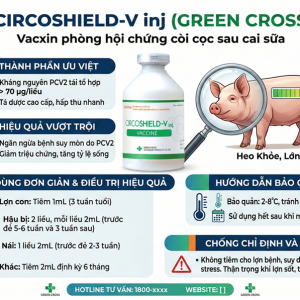 Vaccine Tigervet - Circo 10 liều
