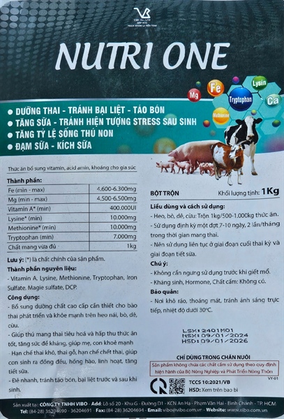 VB NUTRI ONE - An Thai - 1kg - Ảnh 2
